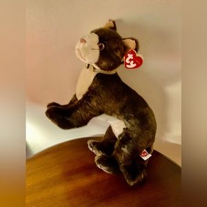 Ty “Mystery” brown cat